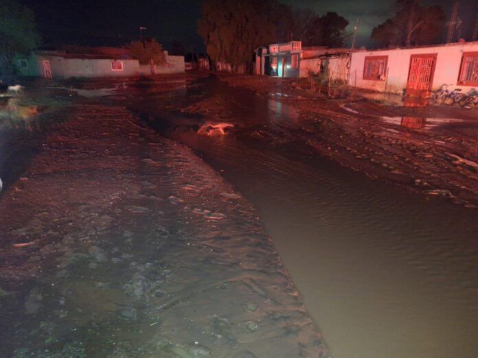 guadalupe-trujillo-2