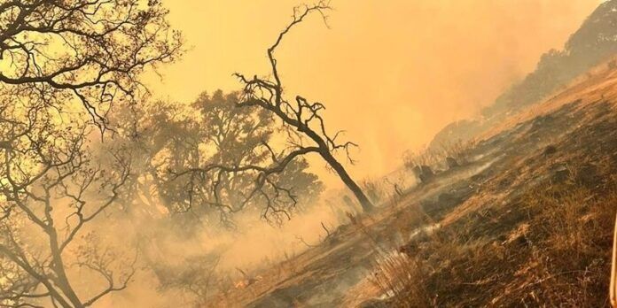 incendio (3)