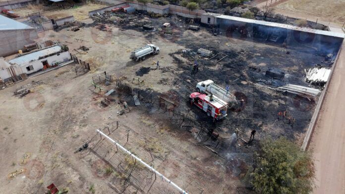 incendio-pardillo