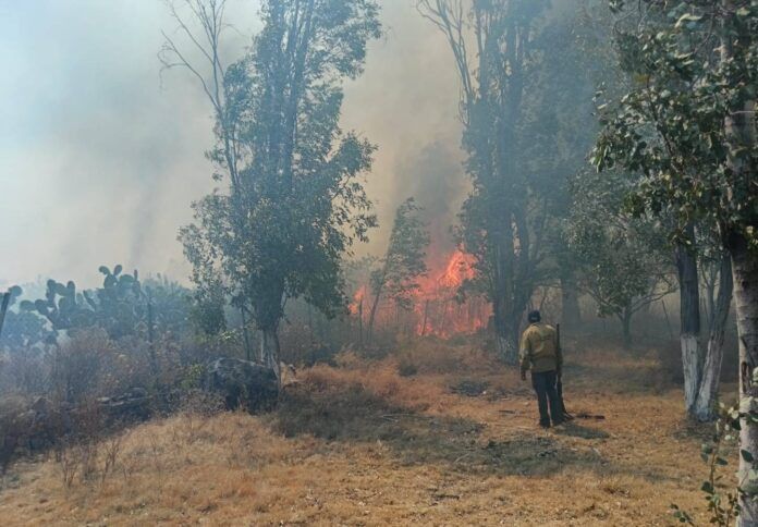 incendio-san-ramon-1
