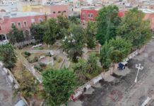Encuentran sin vida a «El Jabones» en Jardín Madero de Fresnillo