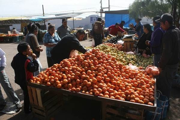 tianguis-tres-cruces-8