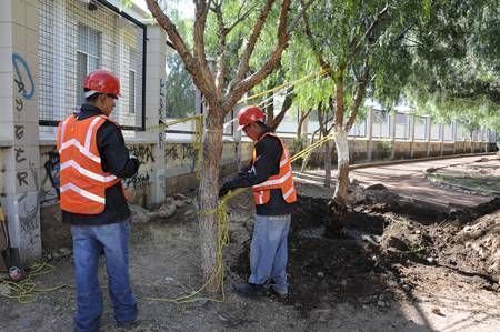 arboles-arroyo-plata-1 arboles-arroyo-plata-1