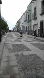teul-gonzalez-ortega-1