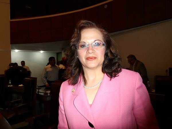 diputados2