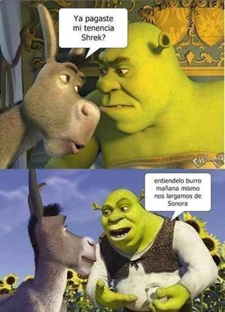 tenencia-sonora-44