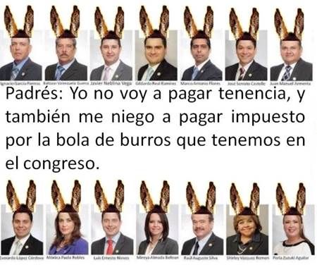 tenencia-sonora-55