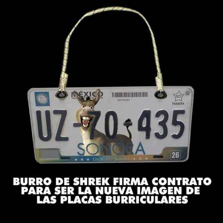 tenencia-sonora-99 tenencia-sonora-99