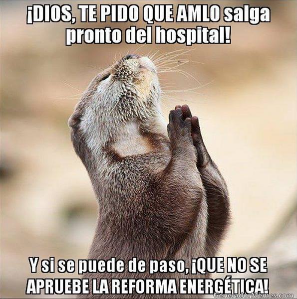 amlo4
