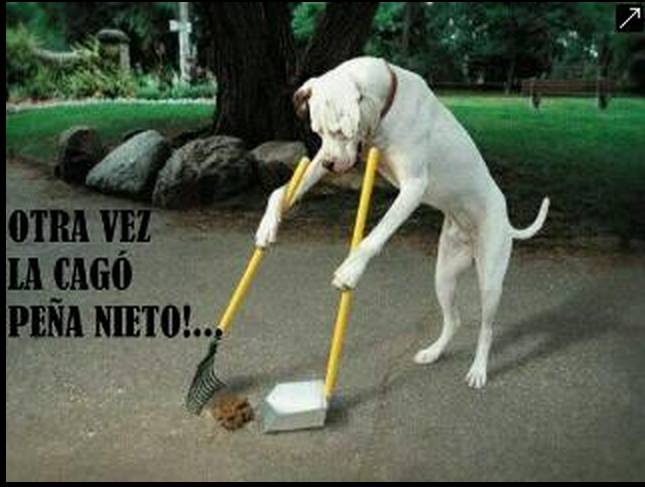 pena-nieto1