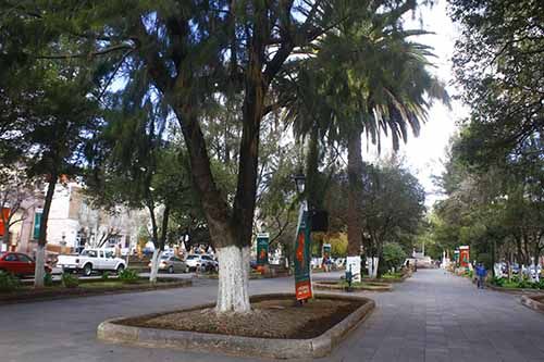 alameda-zacatecas