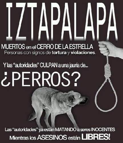 perros-1