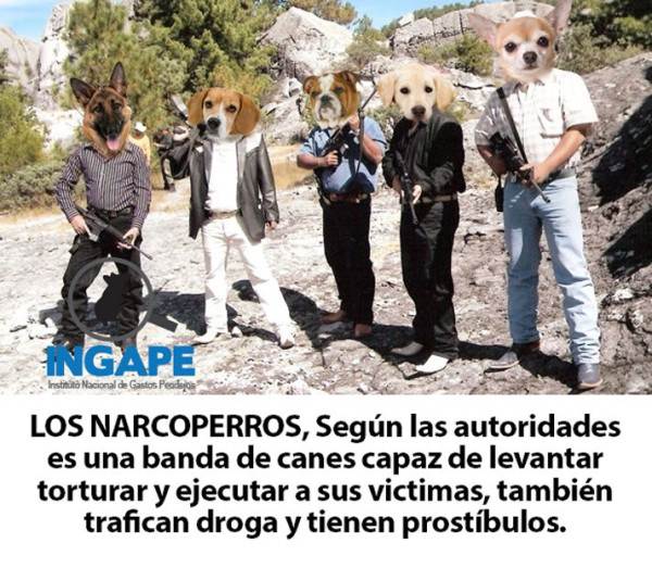 perros-3