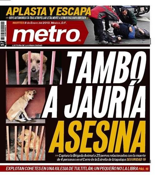 perros-9