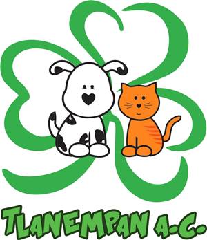 tlanempan