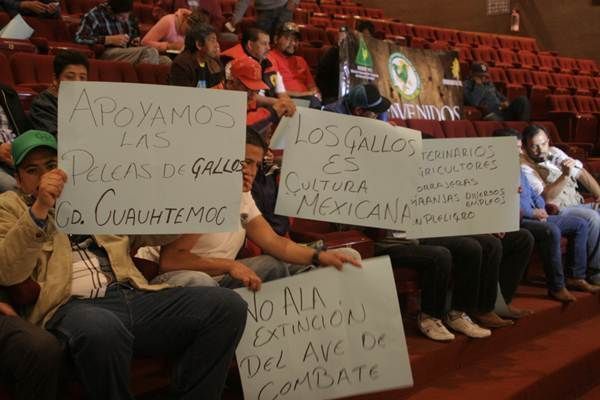 manifestacion-congreso-3