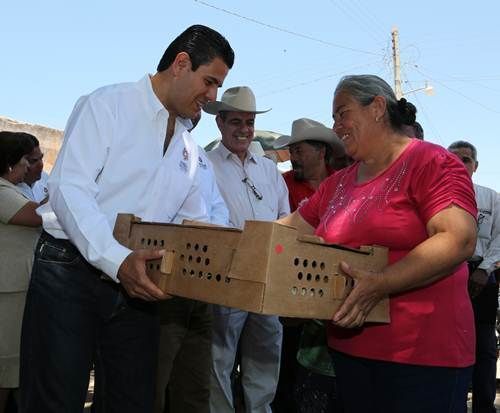 canitas2