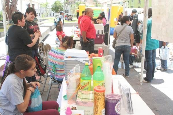 rescatando-hullitas-5