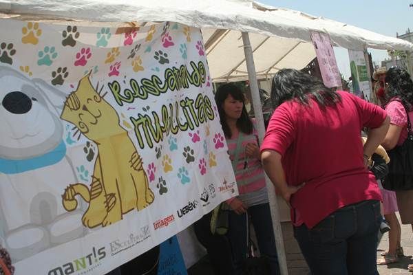 rescatando-hullitas-8