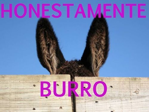 honestamente-burro1