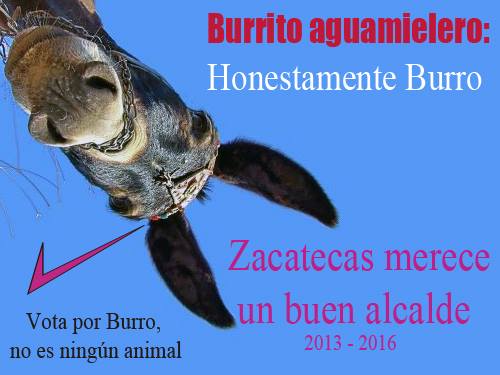 honestamente-burro2