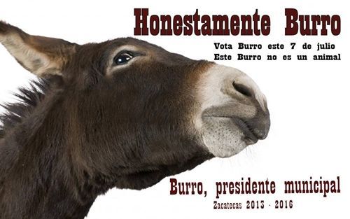 honestamente-burro3