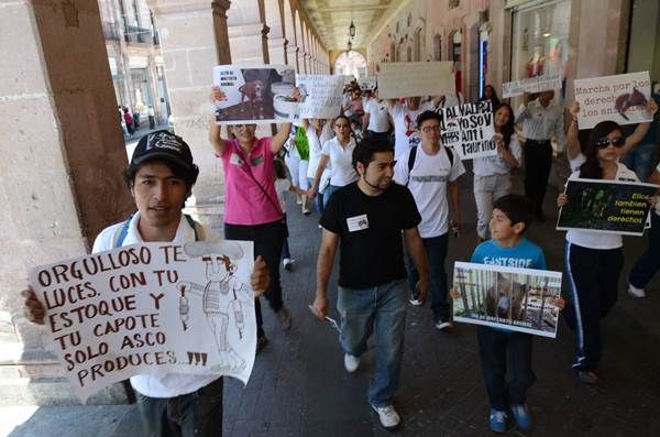 marcha-defensa-animal-1