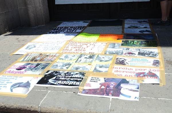 marcha-defensa-animal-5