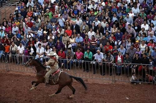 gobernador1
