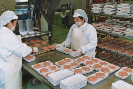 ocupacion-mujeres ocupacion-mujeres