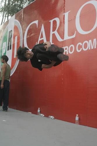 registro-carlos-pena-17