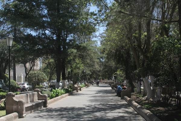 alameda-7