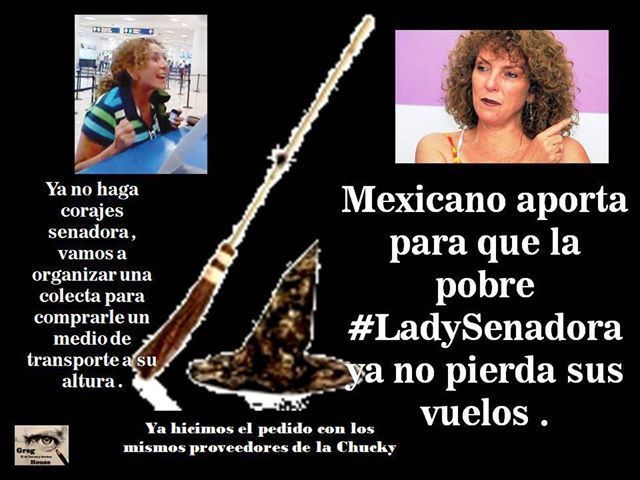 senadora-1