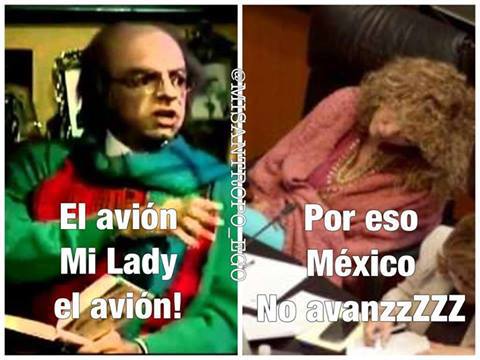 senadora-2