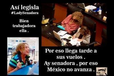 senadora senadora