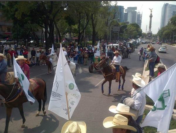 frijoleros-56