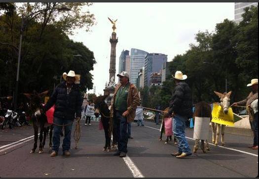 frijoleros