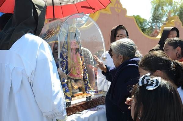 preladita-1
