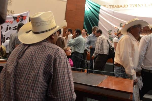 barzonistas-5