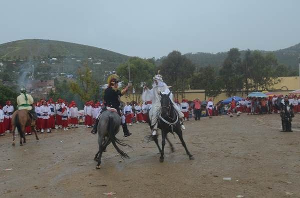 morisma-bracho-2013-20