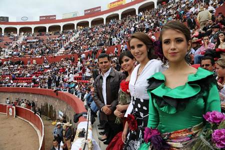 toros-33 toros-33