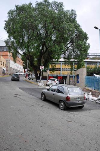 paseo-bufa2