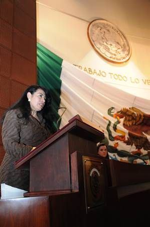 araceli-guerrero-1