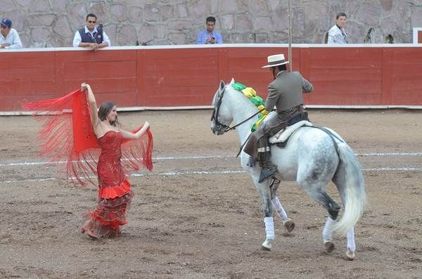 develan-placa-taurina-7