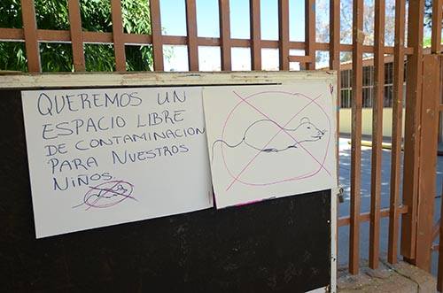ratas1