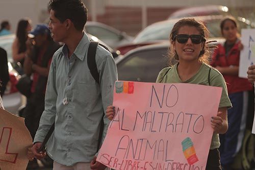 manifestacion-circo-zacatecas-10