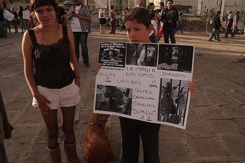 manifestacion-circo-zacatecas-15