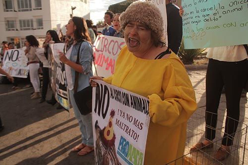 manifestacion-circo-zacatecas-17