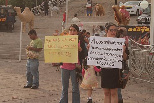 manifestacion-circo-zacatecas-19