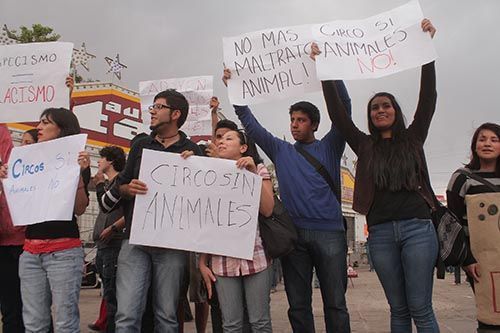 manifestacion-circo-zacatecas-8